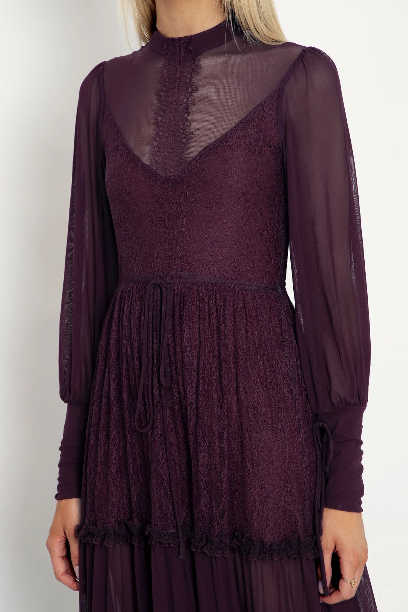 Midnight Ritual Wine Sheer Maxi Dress - Image 6